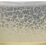 Microworm Starter Culture (1 Pack)