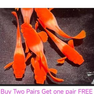 Combo Black eye koi red ear 3 pair