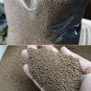 Farm feed (Pellet size 0.5-0.6 mm size)